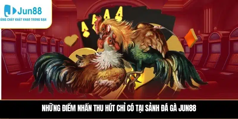Những điểm nhấn thu hút chỉ có tại sảnh Đá gà JUN88